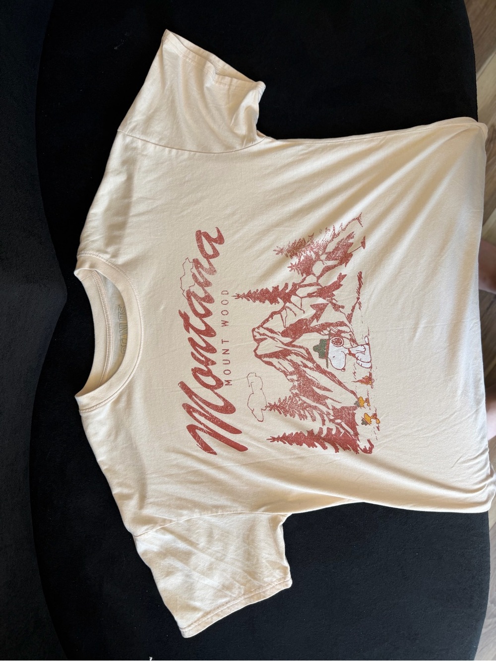 Peanuts Cream Short Sleeve Tee with Rust Graphic - Picture 2 of 5